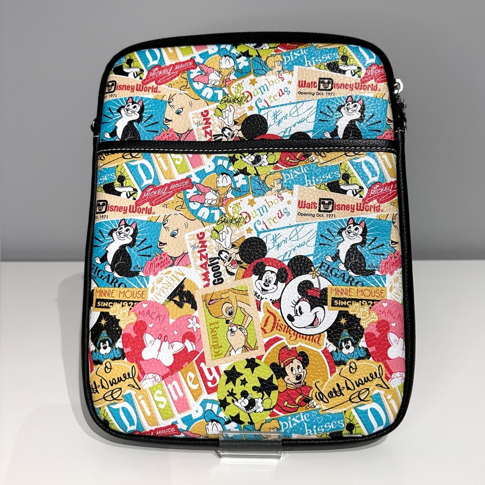 Disney parks tech case